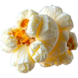 PopRight all-natural premium popcorn seasonings